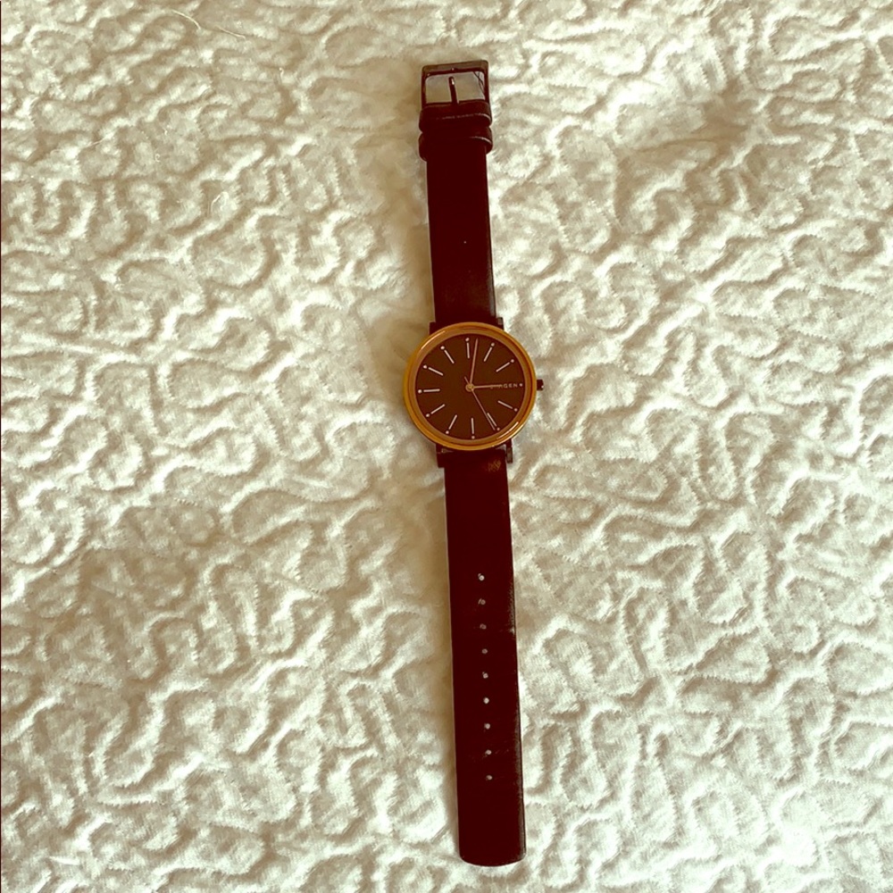 Skagen watch